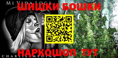 apvp Кингисепп