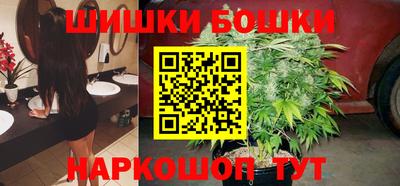 apvp Кингисепп