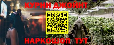 apvp Кингисепп