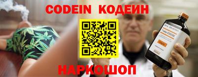 apvp Кингисепп