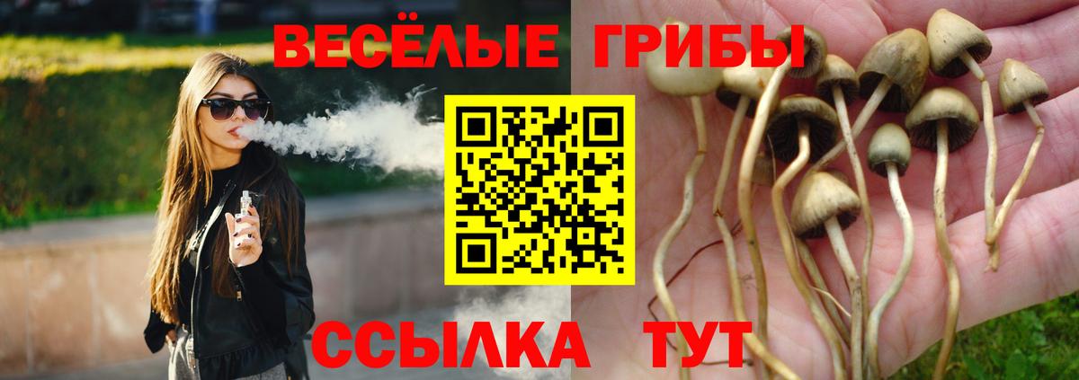 Красноуфимск  Псилоцибиновые грибы мухоморы  Вход с VPN  Псилоцибиновые грибы Psilocybe 